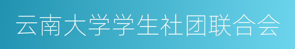 云南大学学生社团联合会的同义词