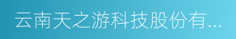 云南天之游科技股份有限公司的同义词