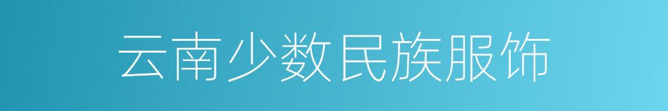 云南少数民族服饰的同义词