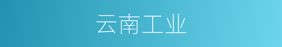 云南工业的同义词