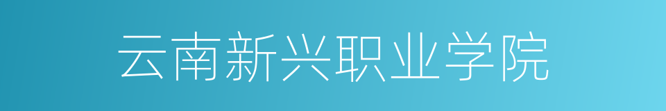 云南新兴职业学院的同义词