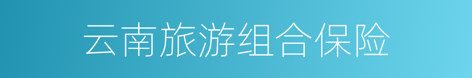 云南旅游组合保险的同义词