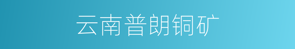 云南普朗铜矿的同义词