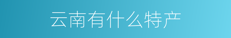 云南有什么特产的同义词