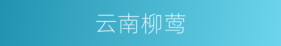 云南柳莺的同义词