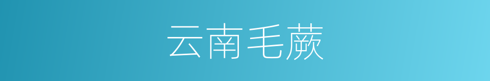云南毛蕨的同义词