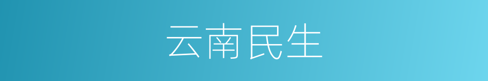 云南民生的同义词