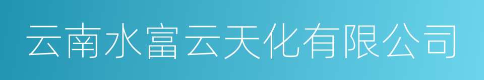 云南水富云天化有限公司的同义词