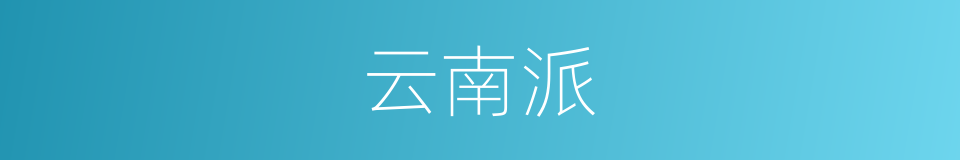 云南派的同义词