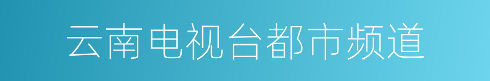 云南电视台都市频道的同义词