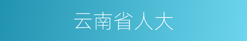 云南省人大的同义词