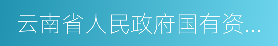 云南省人民政府国有资产监督管理委员会的同义词