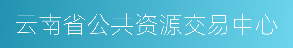 云南省公共资源交易中心的同义词