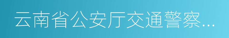 云南省公安厅交通警察总队的同义词