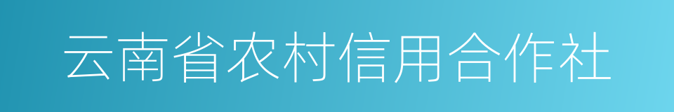 云南省农村信用合作社的同义词