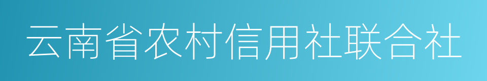 云南省农村信用社联合社的同义词