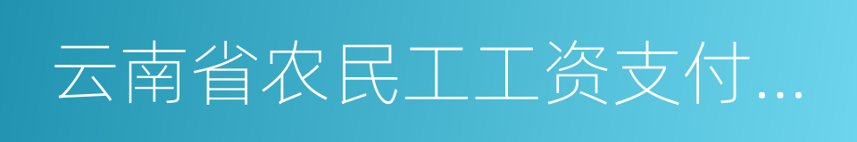 云南省农民工工资支付保障规定的同义词