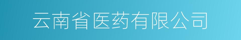 云南省医药有限公司的同义词