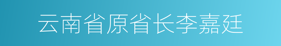 云南省原省长李嘉廷的同义词