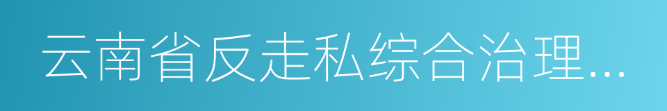 云南省反走私综合治理规定的同义词