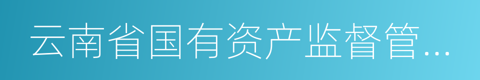 云南省国有资产监督管理委员会的同义词