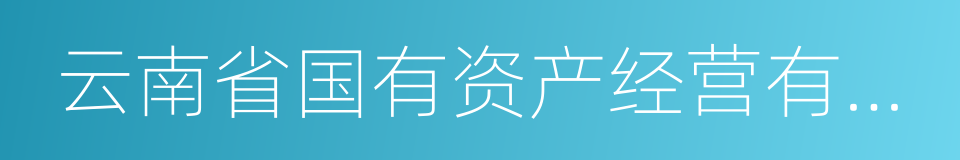 云南省国有资产经营有限责任公司的同义词