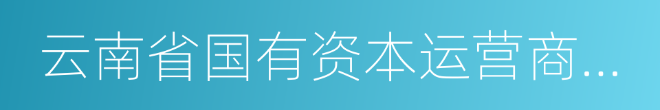 云南省国有资本运营商城管理有限公司的同义词