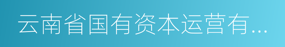 云南省国有资本运营有限公司的同义词