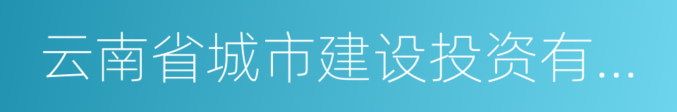 云南省城市建设投资有限公司的同义词