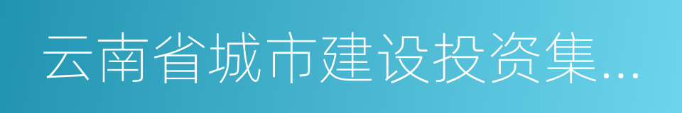 云南省城市建设投资集团有限公司的同义词