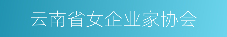 云南省女企业家协会的同义词