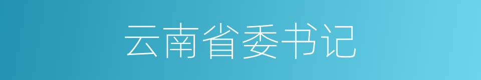 云南省委书记的同义词