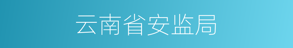 云南省安监局的同义词