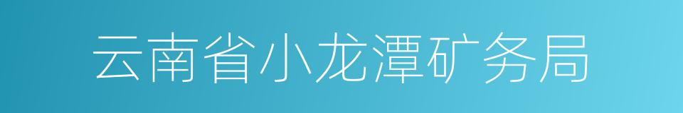 云南省小龙潭矿务局的同义词