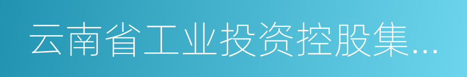 云南省工业投资控股集团有限责任公司的同义词