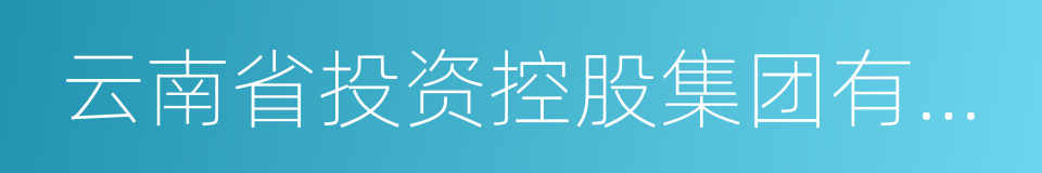 云南省投资控股集团有限公司的同义词