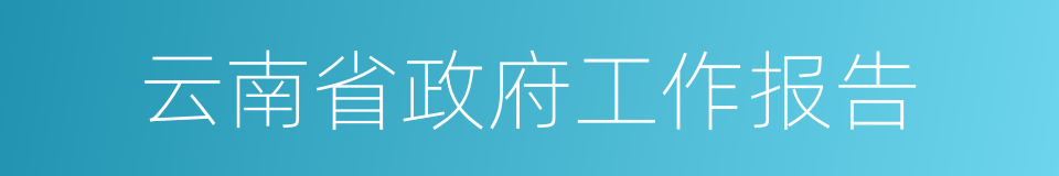 云南省政府工作报告的同义词