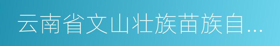 云南省文山壮族苗族自治州富宁县的同义词