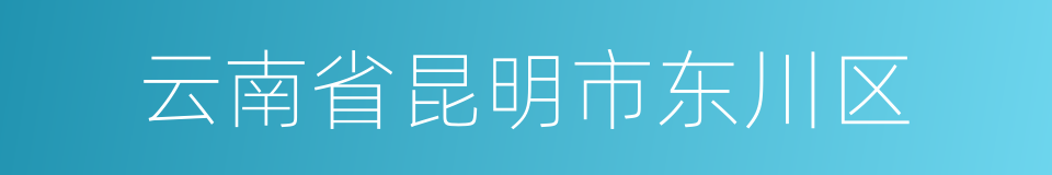 云南省昆明市东川区的同义词