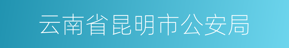 云南省昆明市公安局的同义词