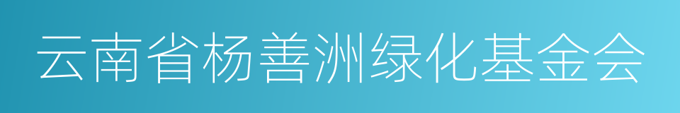 云南省杨善洲绿化基金会的同义词