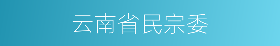 云南省民宗委的同义词