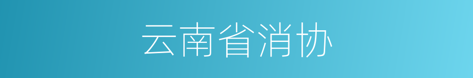 云南省消协的同义词