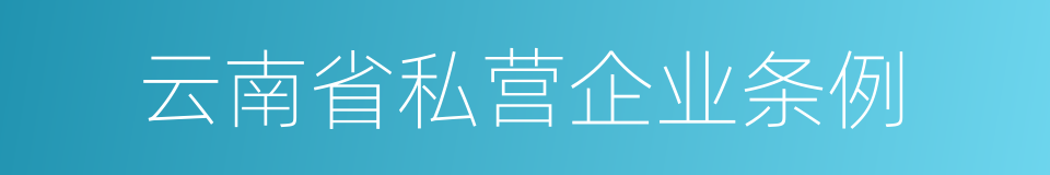 云南省私营企业条例的同义词