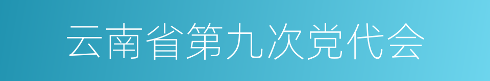 云南省第九次党代会的同义词