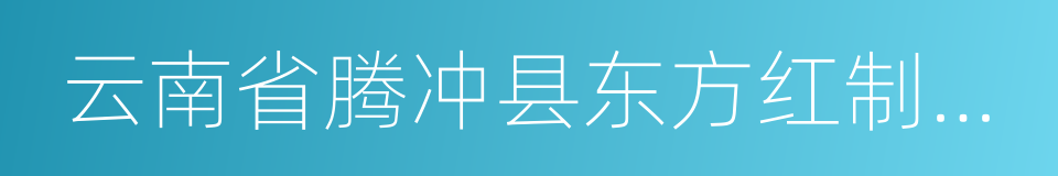 云南省腾冲县东方红制药有限责任公司的同义词