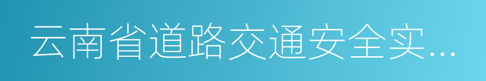 云南省道路交通安全实施条例的同义词