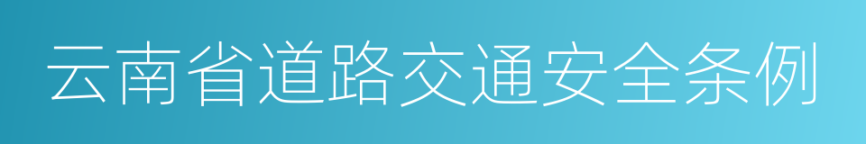 云南省道路交通安全条例的同义词