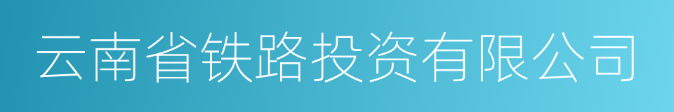 云南省铁路投资有限公司的同义词