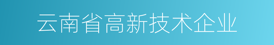 云南省高新技术企业的同义词